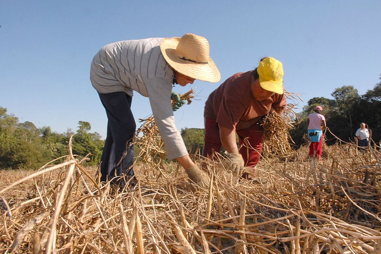 ESSA É A TERRÍVEL REALIDADE DO BRASIL DE TEMER: TRABALHADOR RURAL PODERÁ RECEBER CASA E COMIDA NO LUGAR DO SALÁRIO